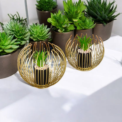 Golden Cage Metal Planter