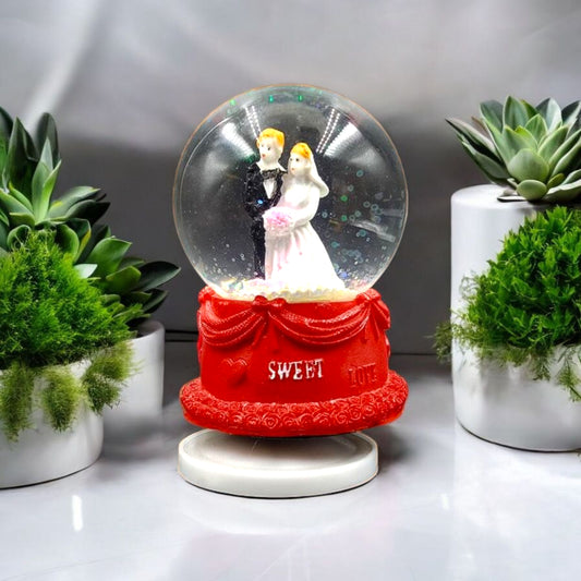Romantic Owl Couple Snow Globe