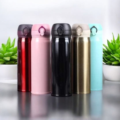 Stainless Steel Thermo Bottles 500ml