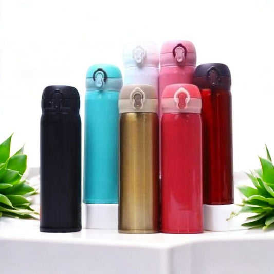 Stainless Steel Thermo Bottles 500ml